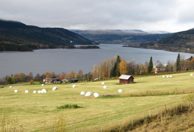 Åredalen