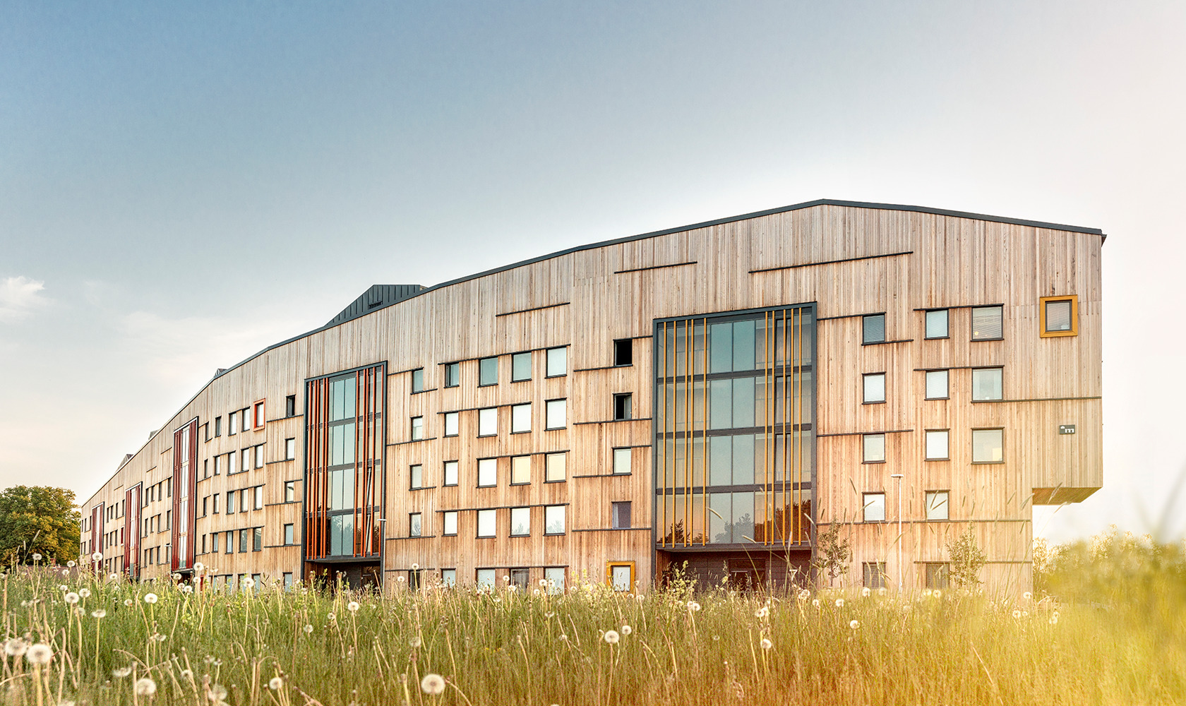 Bild på bostadshus på grön äng