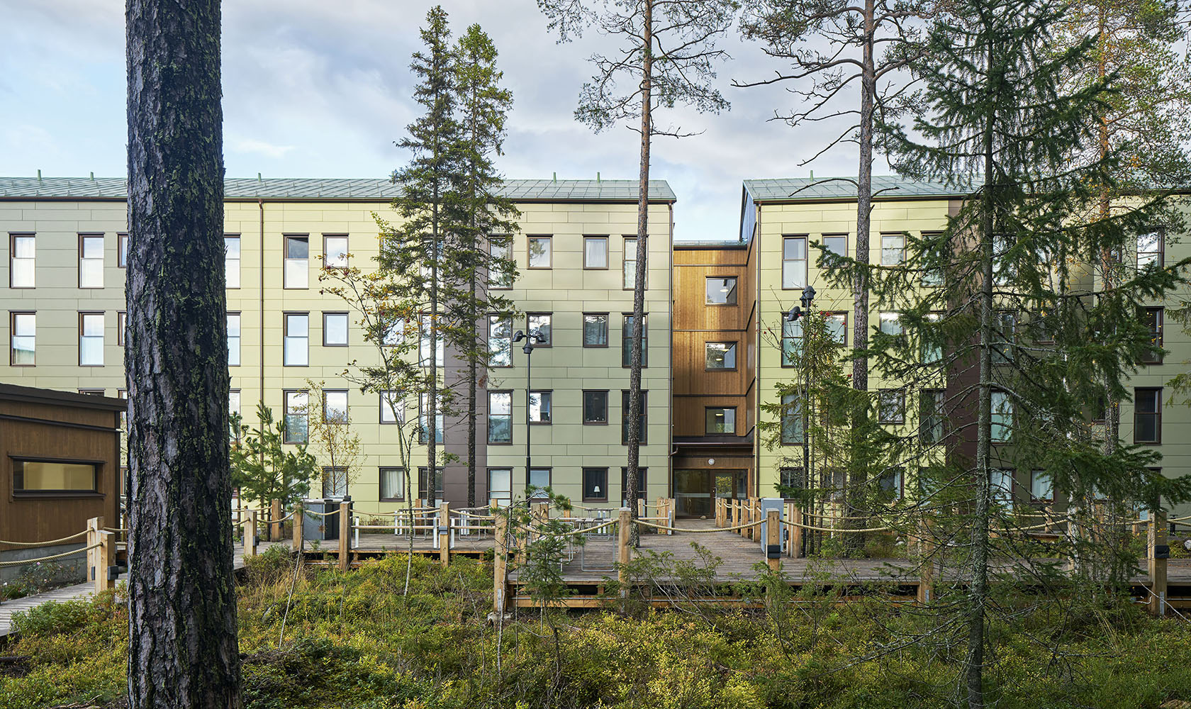 Bostadshus med tallar i förgrunden