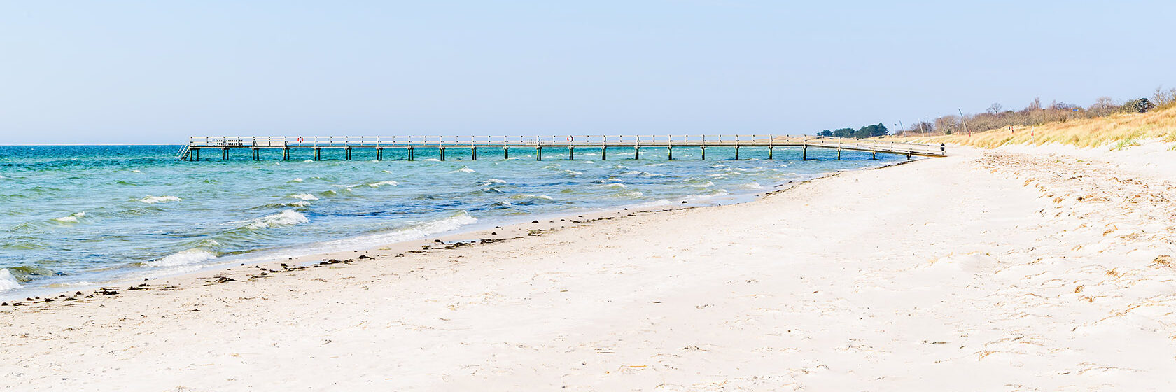 Hav och strand vid Falsterbonäset
