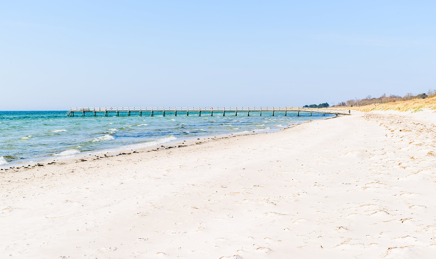 Hav och strand vid Falsterbonäset