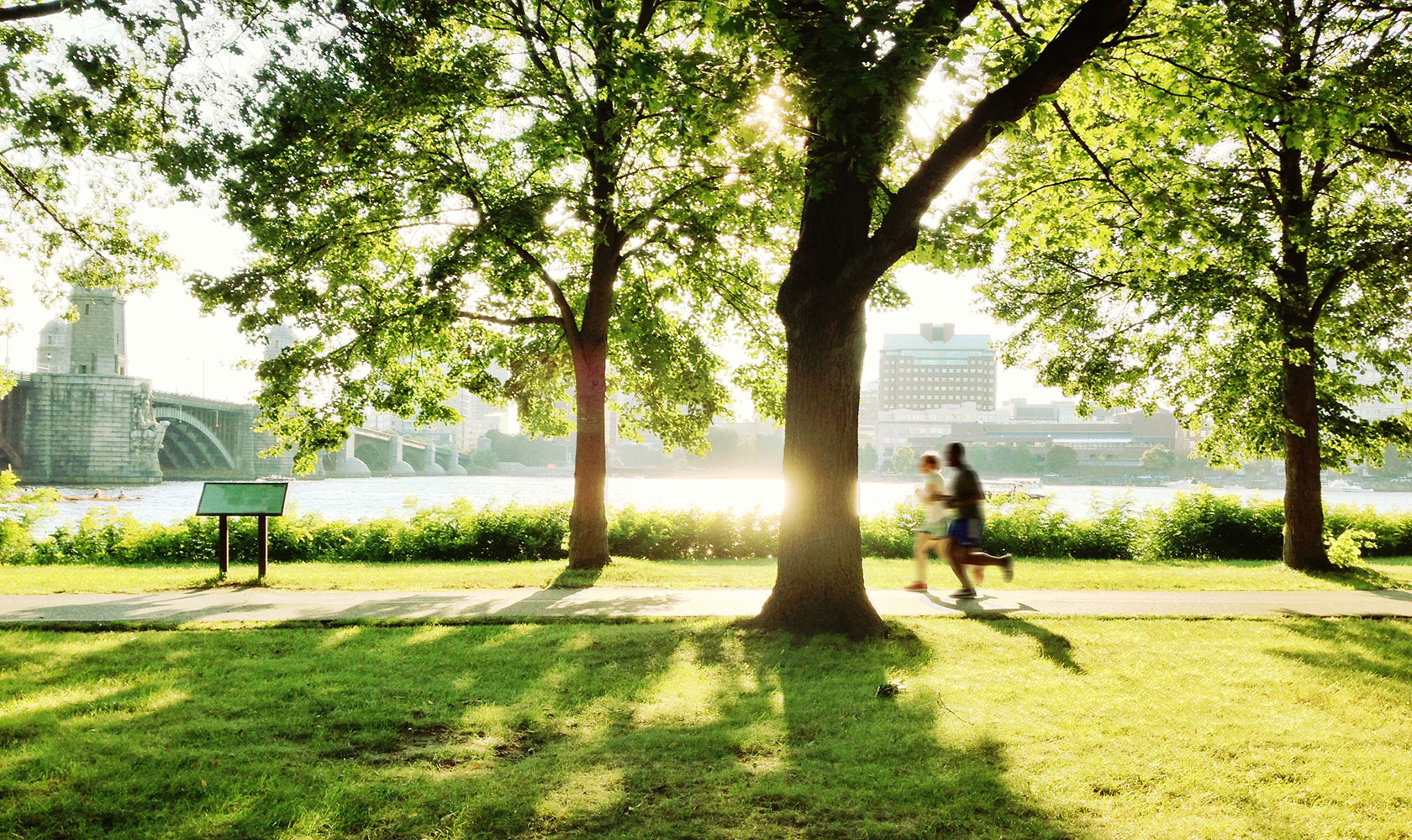joggare i lummig grön stad