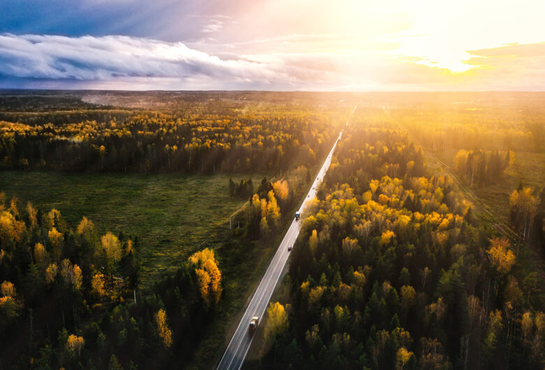 Väg genom höstskog