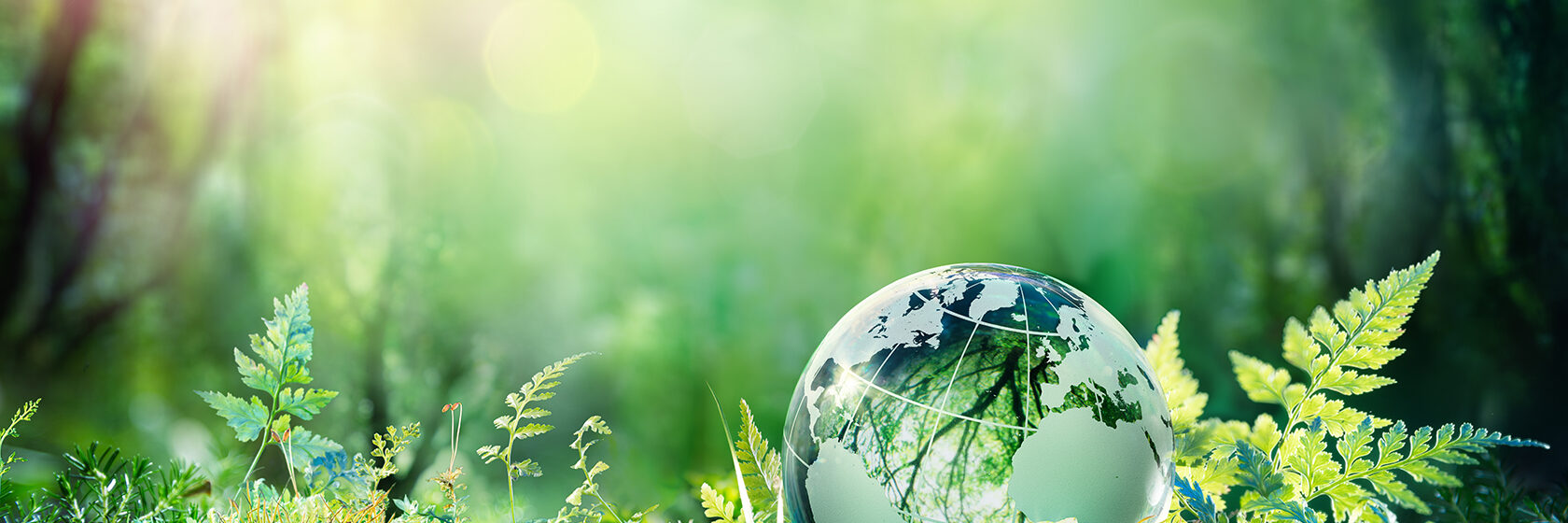 Glasglob i grönska