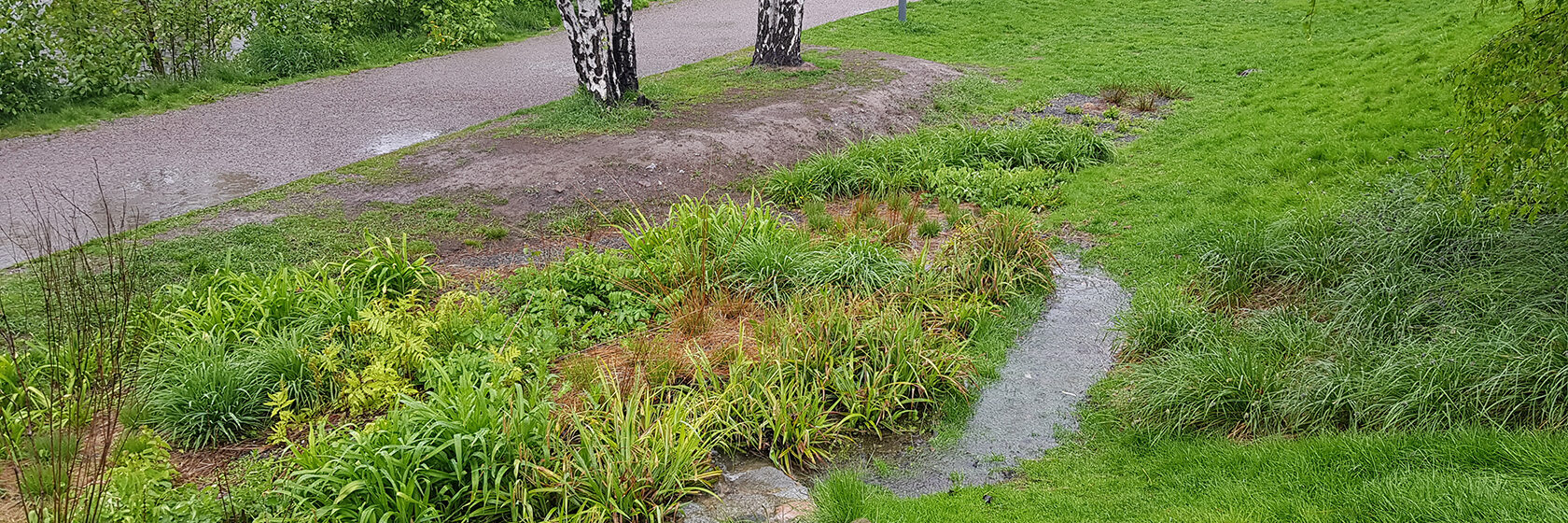Liten bäck i grönområde
