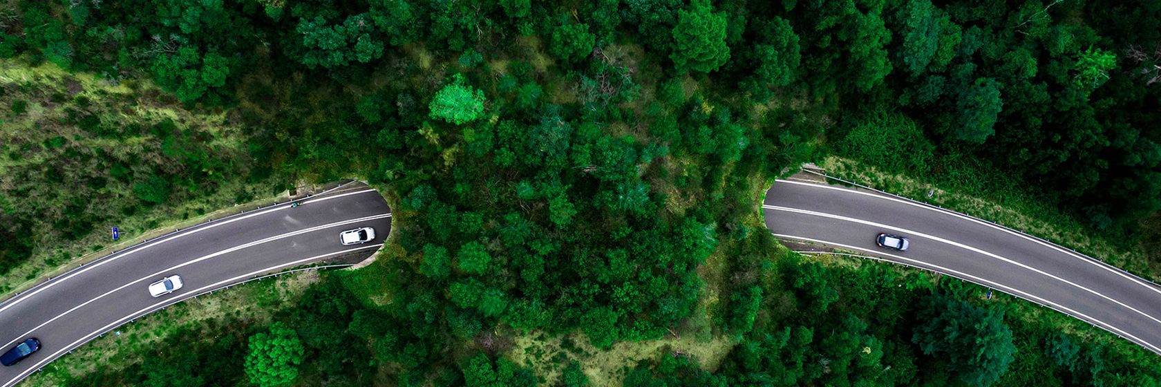 Flygvy över en väg som leder in i grön tunnel
