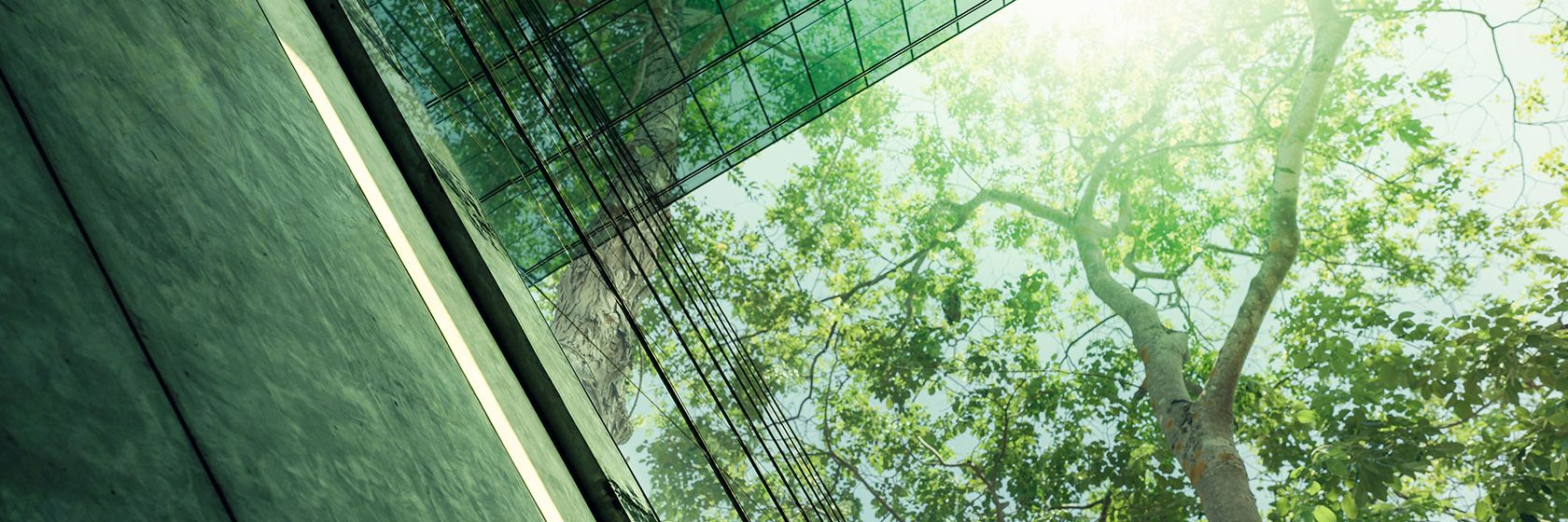 Ett stort grönt träd sträcker sig ut över en byggnad