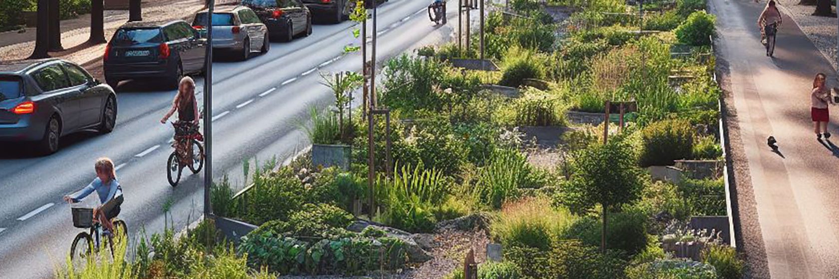 Gata med träd och växter