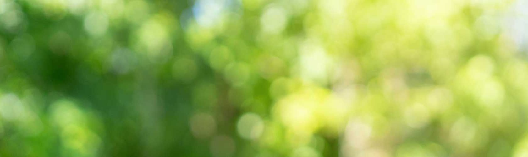 Grön blurrig bakgrund