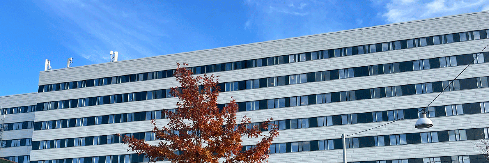 Vit, nyrenoverad fasad på Östra sjukhuset med ett träd i vackra, brunröda färger i förgrunden
