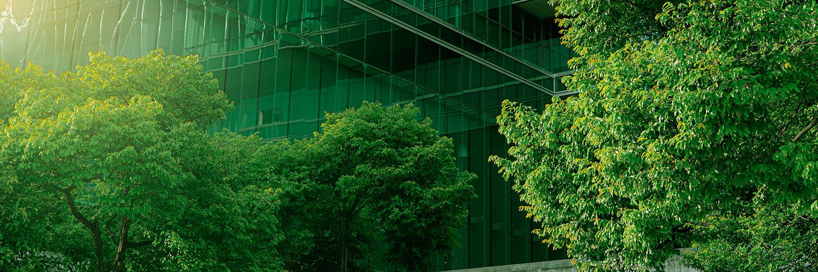 Träd framför en byggnad