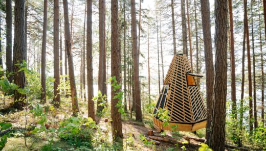 vindskydd av trä i skog