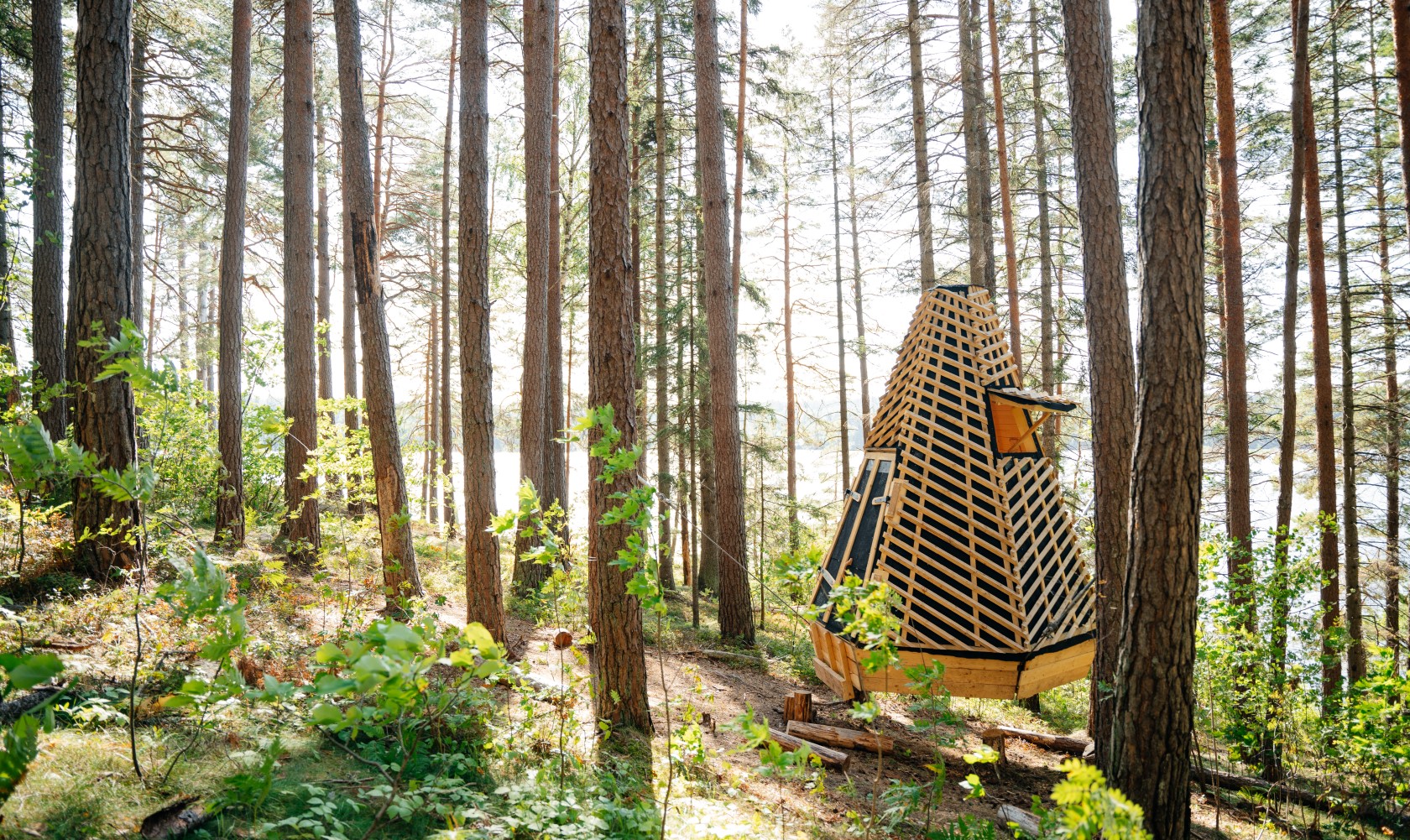vindskydd av trä i skog