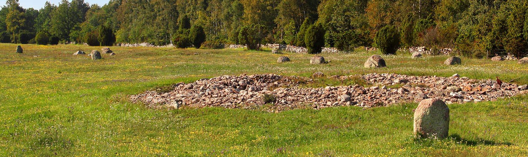 Jordbrukslandskap, Södra Sverige