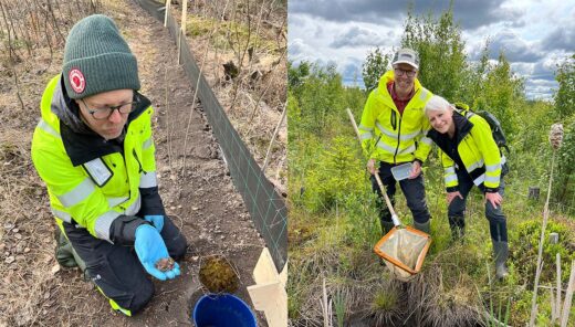 Sweco miljökonsulter i gula jackor undersöker mark- och vattenprover i skogen.