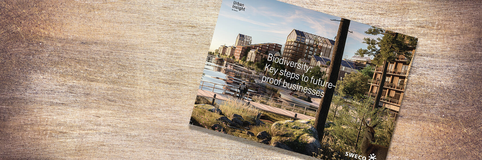 Omslag av Swecos rapport om biologisk mångfald och framtidssäkring av företag.