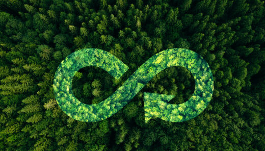 En skog uppifrån med en cirkulär pil ritad ovanpå