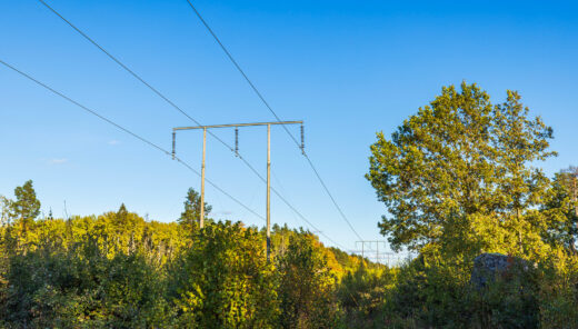 Kraftnät mot blå himmel och över gröna träd