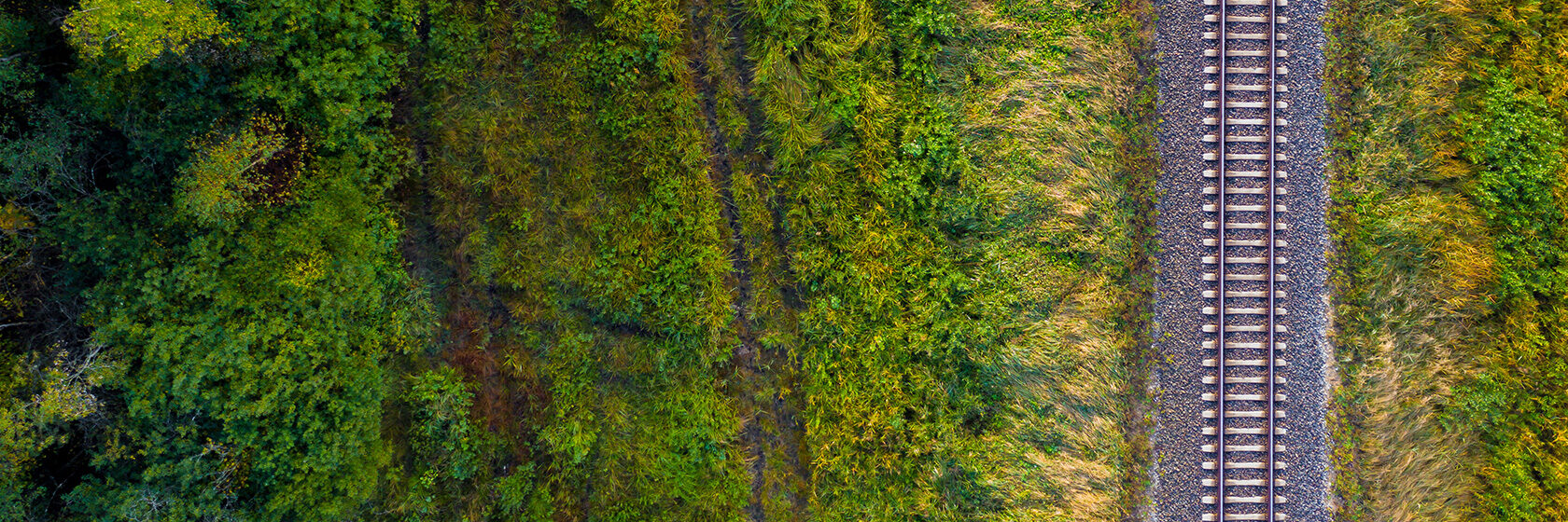 Skog och en tågräls