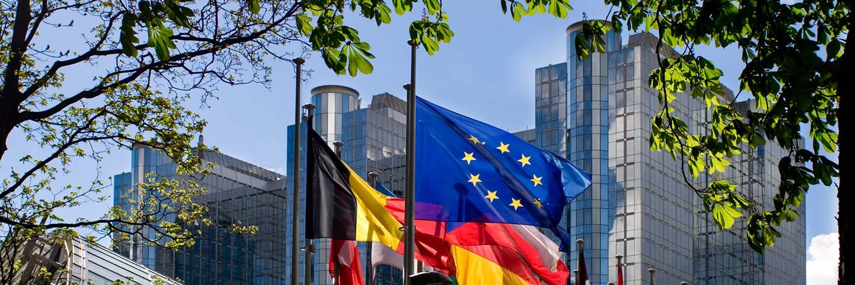 Flaggor framför EU-parlamentet i Bryssel inramat av träd