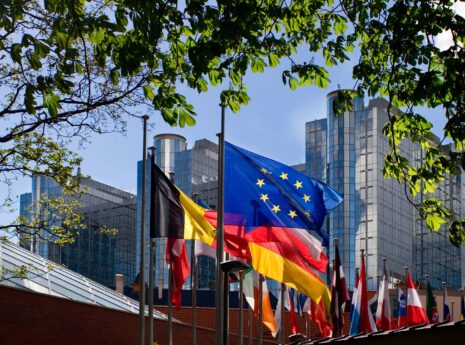 Flaggor framför EU-parlamentet i Bryssel inramat av träd