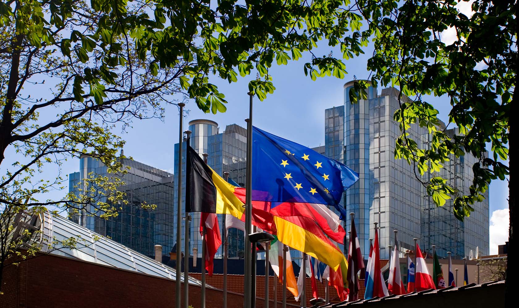 Flaggor framför EU-parlamentet i Bryssel inramat av träd
