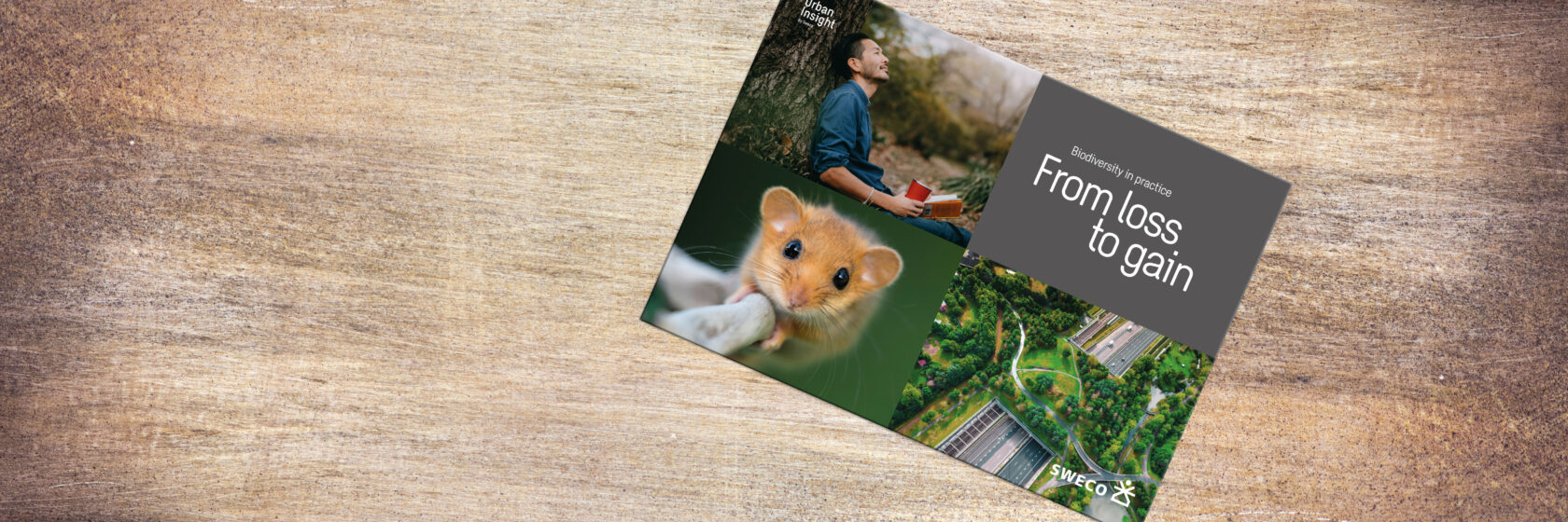 Folder på ett träbord, text "Biodiversity in practice: From loss to gain", Sweco logo, bilder av natur och djur.