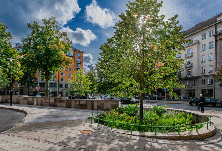 Växtbäddar vid nyanlagt torg i Stockholm som samlar upp regnvatten i dagvattenlösning